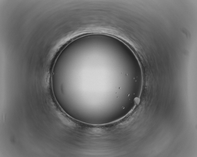 X0000113151507200909041222