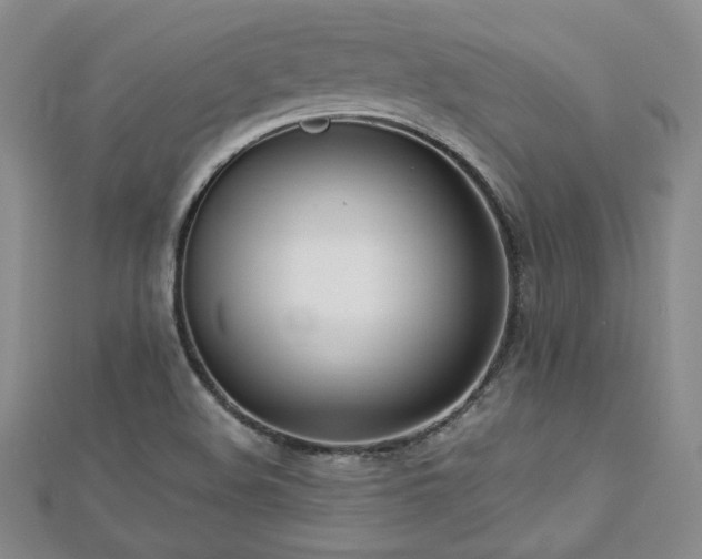 X0000113151508200909041222