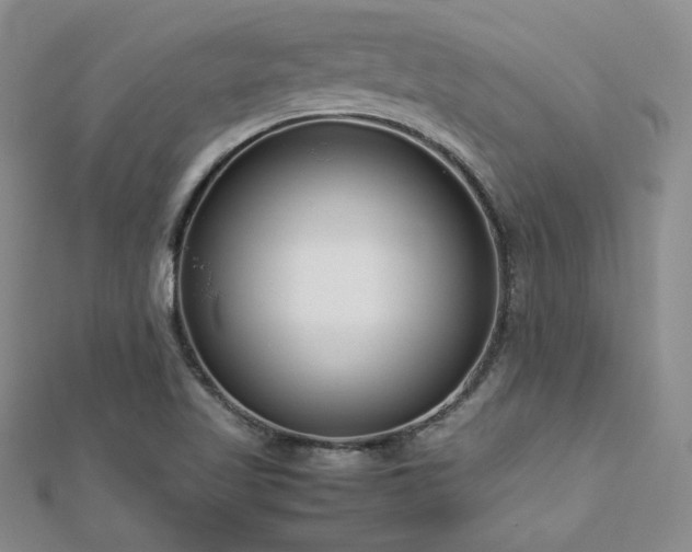 X0000113151509200909041222