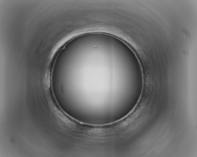 X0000113151510200909041222