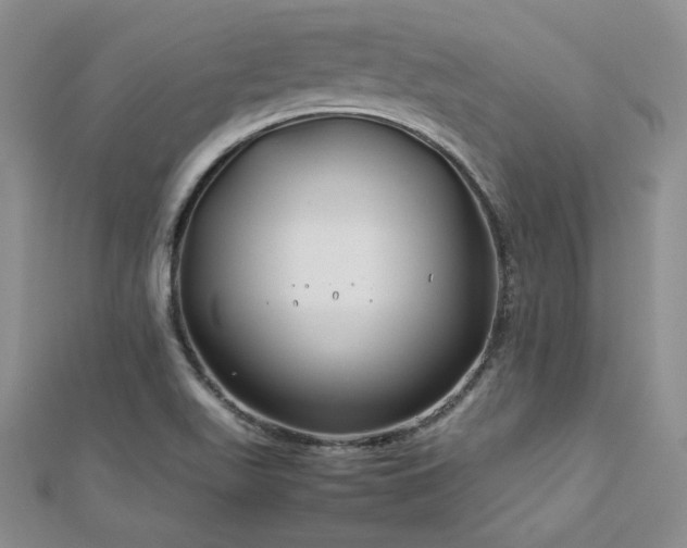 X0000113151511200909041222