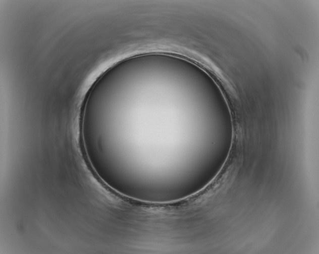 X0000113151512200909041222