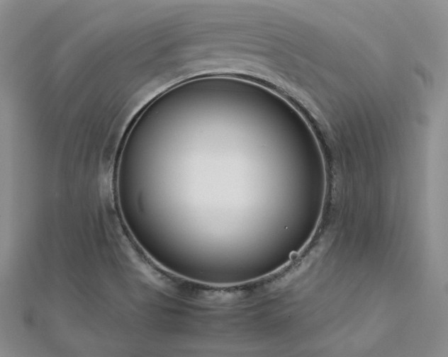 X0000113151513200909041222