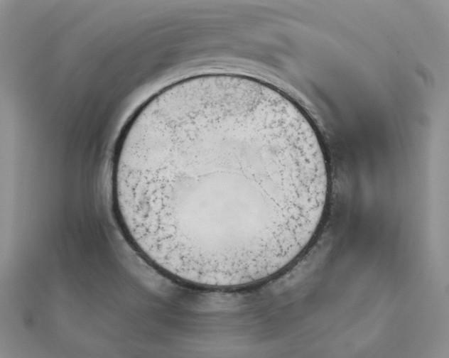 X0000113151514200909041222