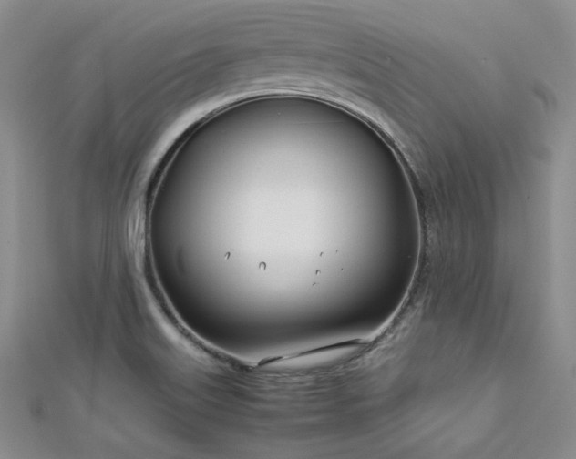 X0000113151515200909041222