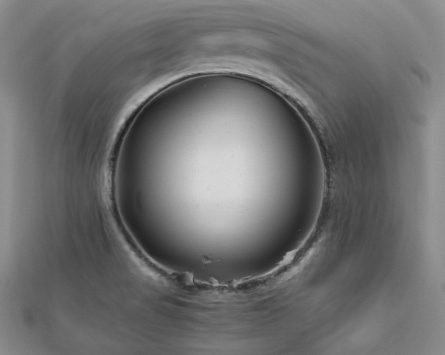 X0000113151517200909041222
