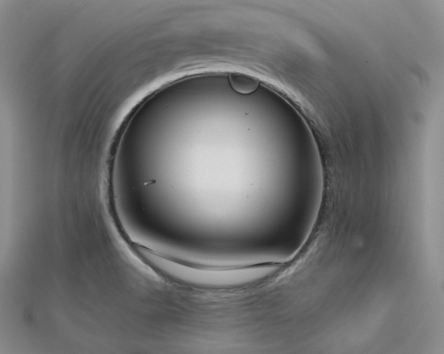X0000113151518200909041222