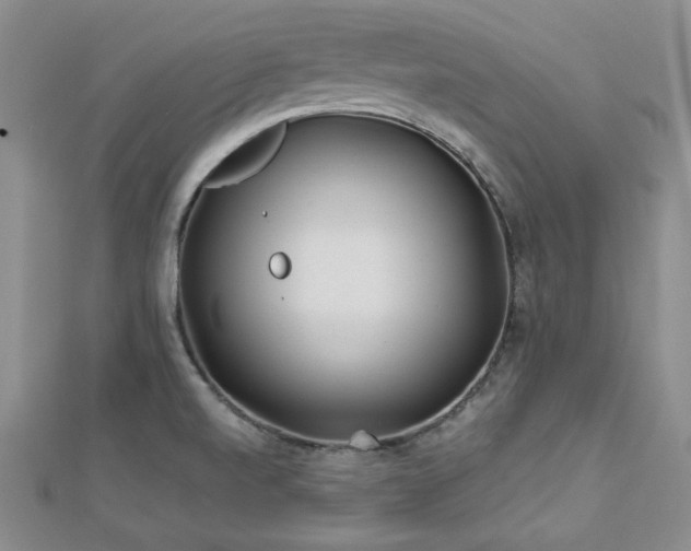 X0000113151520200909041222