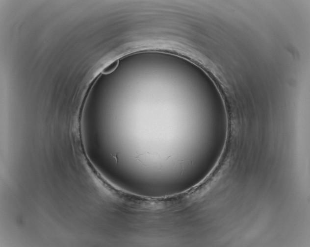 X0000113151521200909041222