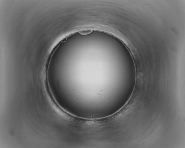 X0000113151523200909041222
