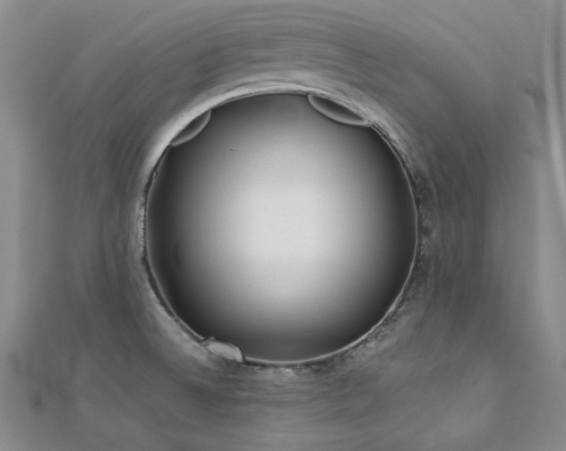 X0000113151524200909041222