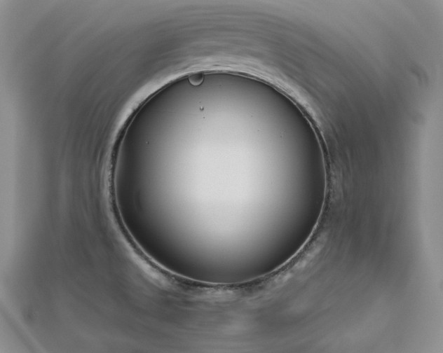 X0000113151525200909041222