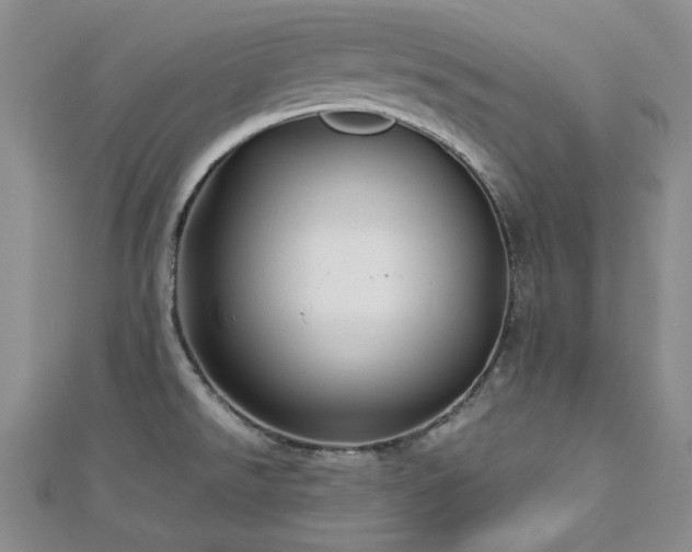 X0000113151526200909041222