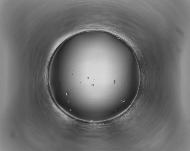 X0000113151527200909041222