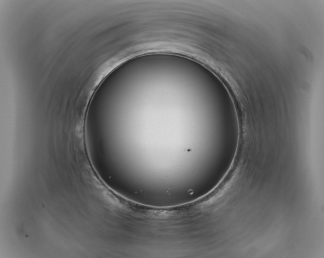 X0000113151529200909041222
