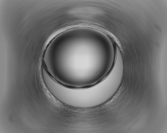 X0000113151530200909041222