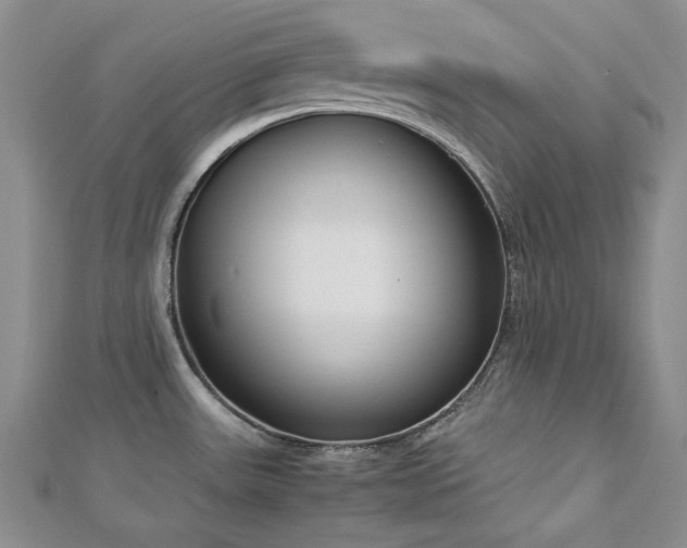 X0000113151531200909041222