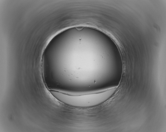 X0000113151532200909041222