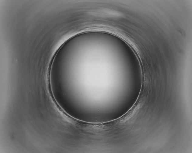 X0000113151533200909041222