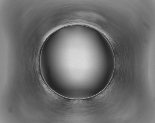 X0000113151534200909041222