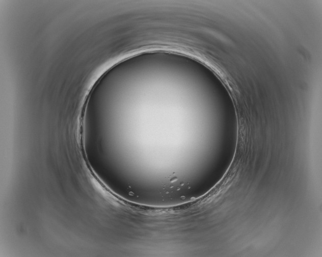 X0000113151535200909041222