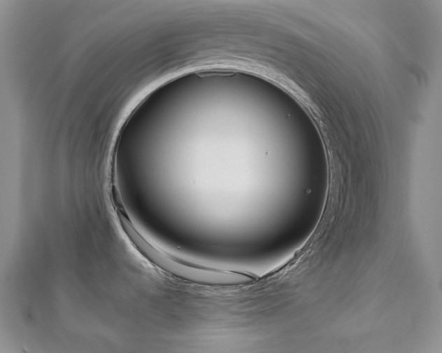 X0000113151536200909041222