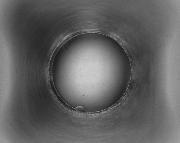 X0000113150002200909111003