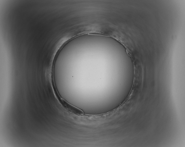 X0000113150003200909111003