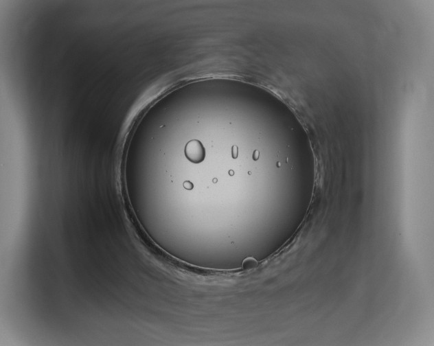 X0000113150004200909111003