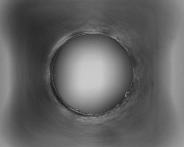 X0000113150005200909111003