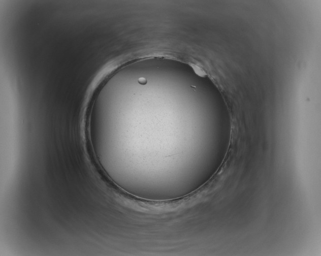 X0000113150006200909111003