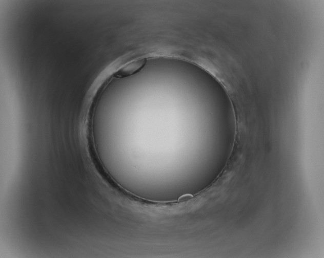 X0000113150007200909111003