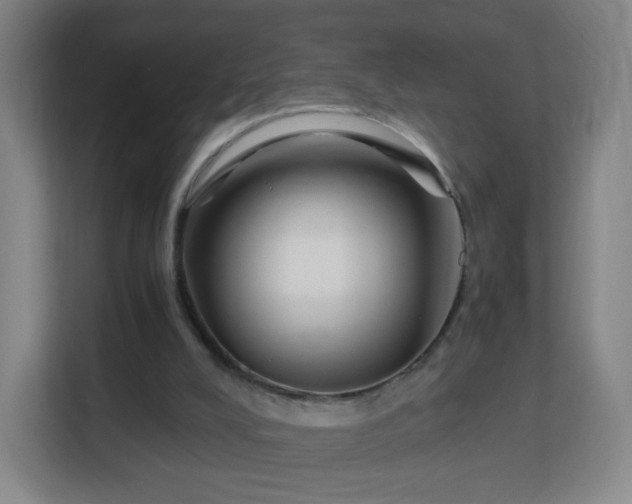 X0000113150008200909111003