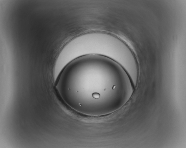 X0000113150009200909111003