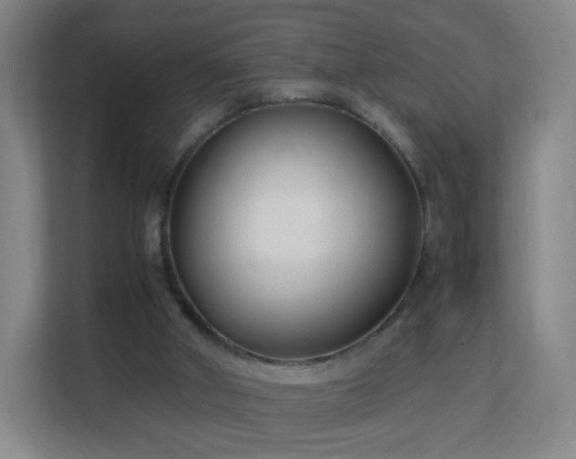 X0000113150010200909111003