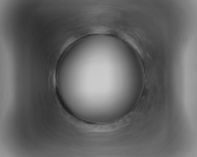 X0000113150011200909111003