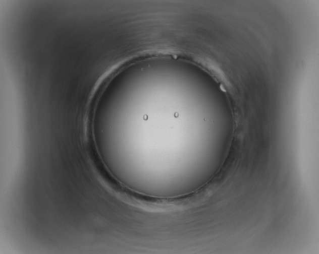 X0000113150012200909111003