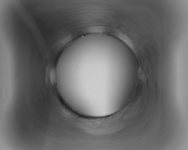 X0000113150013200909111003