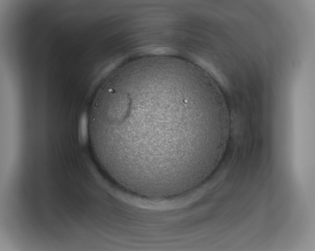 X0000113150014200909111003