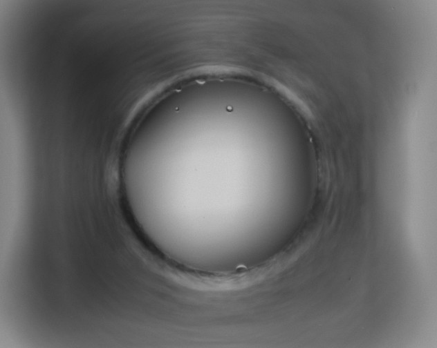 X0000113150015200909111003