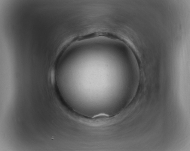 X0000113150019200909111003