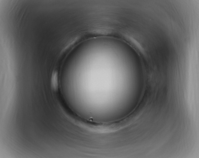 X0000113150020200909111003