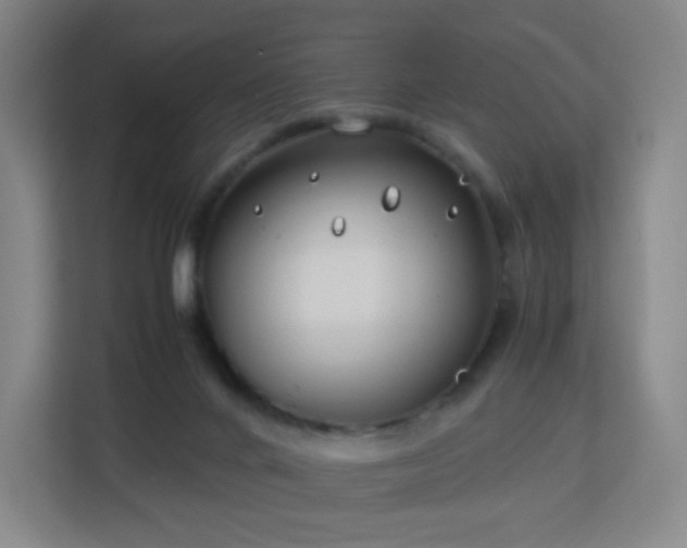 X0000113150024200909111003