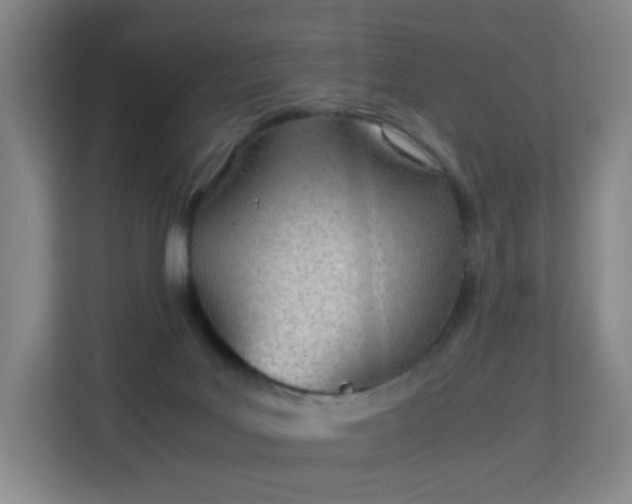 X0000113150027200909111003