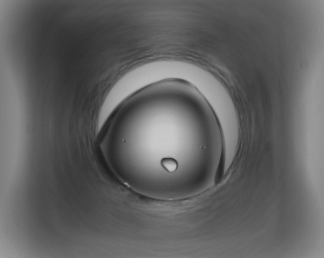 X0000113150029200909111003