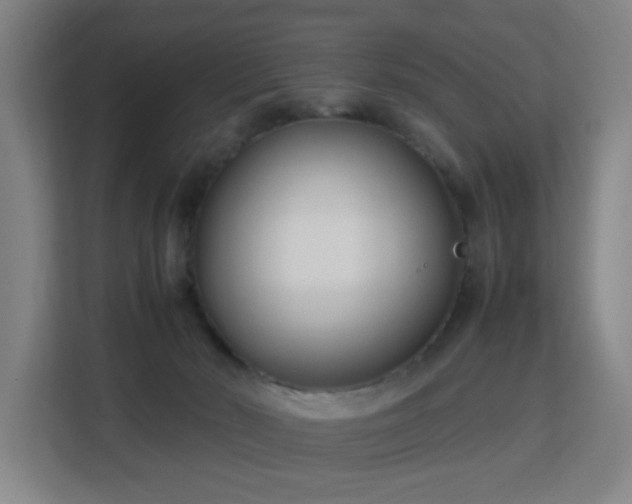 X0000113150030200909111003