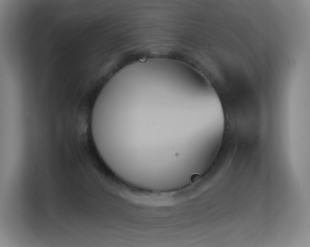 X0000113150032200909111003