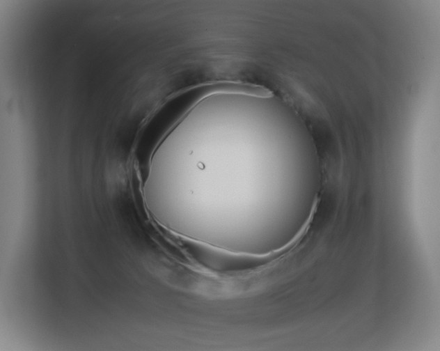 X0000113150033200909111003