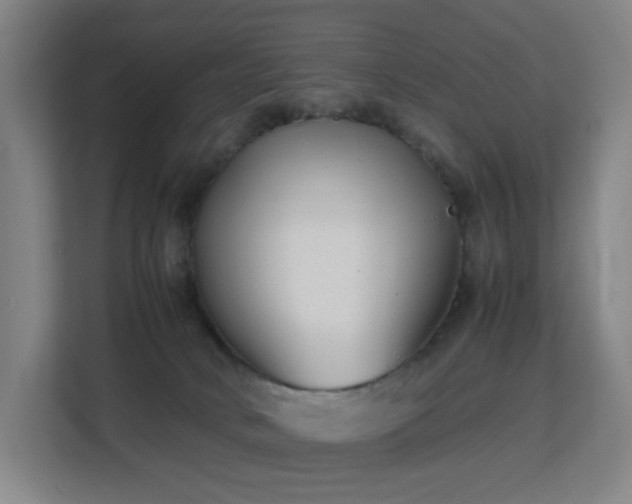 X0000113150034200909111003