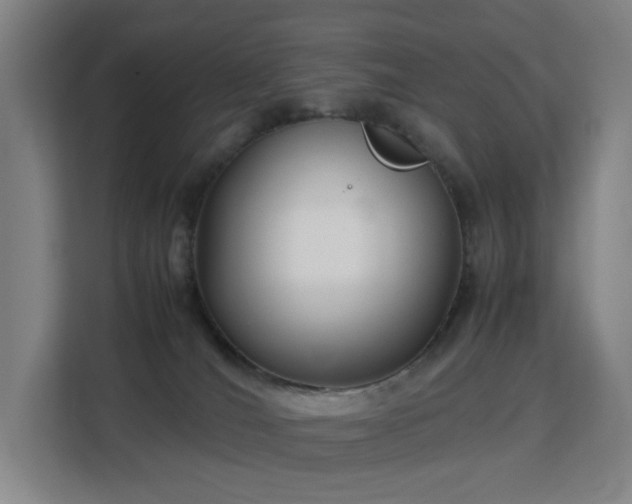 X0000113150036200909111003